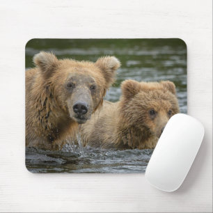 Niedliche Kleintiere Mama Bear & Ihre Cubs Mousepad