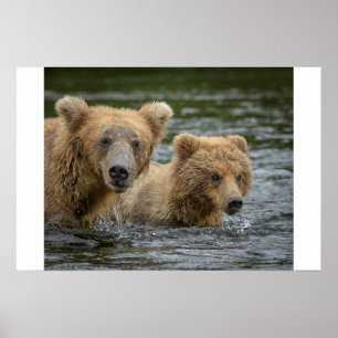 Niedliche Kleintiere Mama Bear & Ihre Cubs Poster