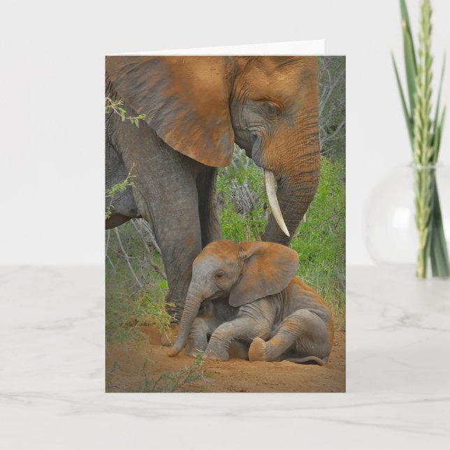 Niedliche Kleintiere | Mama Elephant & Baby Karte (Vorderseite)