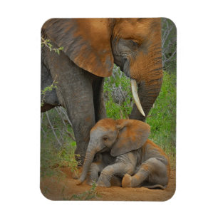Niedliche Kleintiere   Mama Elephant & Baby Magnet