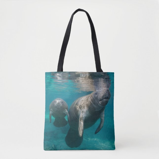 Niedliche Kleintiere | Manatee & Baby (Vorderseite)