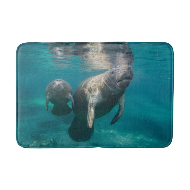 Niedliche Kleintiere | Manatee & Baby Badematte (Vorderseite)