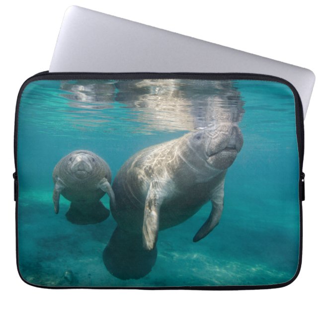 Niedliche Kleintiere | Manatee & Baby Laptopschutzhülle (Vorderseite)