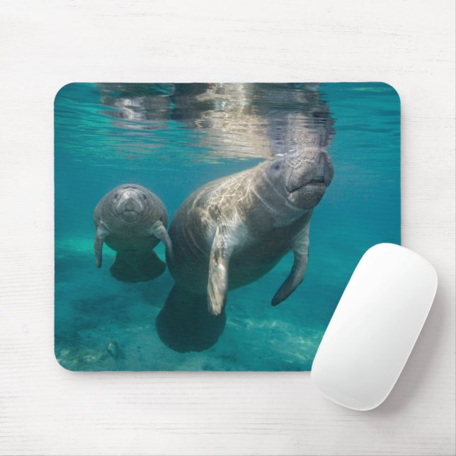 Niedliche Kleintiere | Manatee & Baby Mousepad (Mit Mouse)