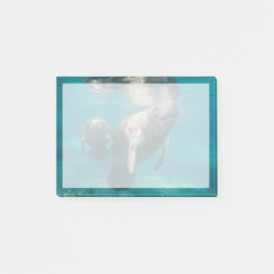 Niedliche Kleintiere Manatee & Baby Post-it Klebezettel