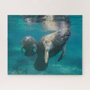Niedliche Kleintiere   Manatee & Baby Puzzle