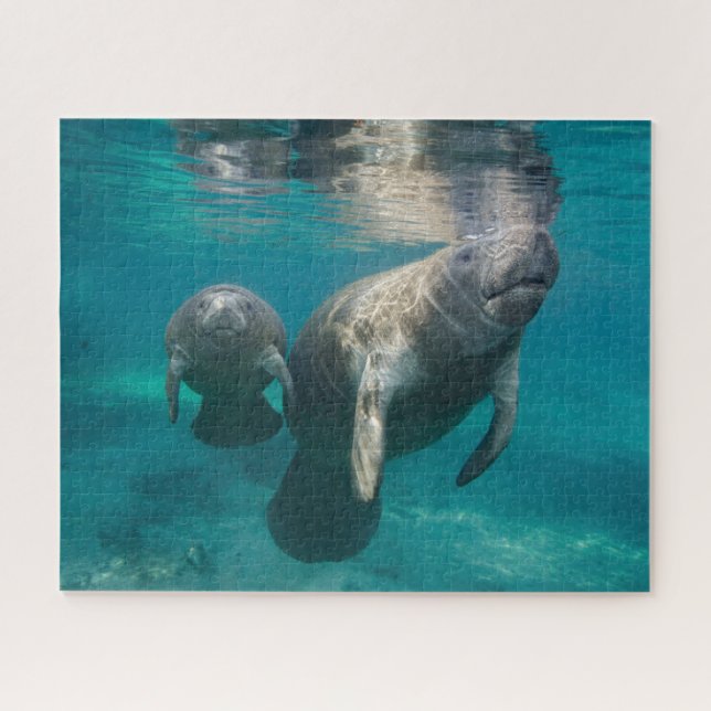 Niedliche Kleintiere | Manatee & Baby Puzzle (Horizontal)