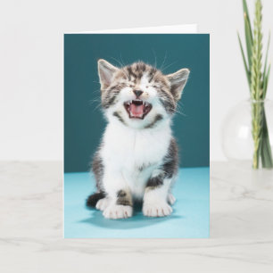 Niedliche Kleintiere   Meaning Baby Kitten Karte