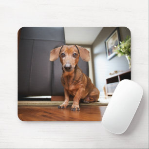 Niedliche Kleintiere Mini-Dackel Welpe Mousepad