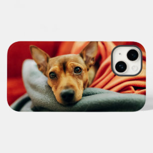 Niedliche Kleintiere Miniature Pinscher Case-Mate iPhone 14 Hülle
