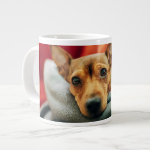 Niedliche Kleintiere   Miniature Pinscher Jumbo-Tasse