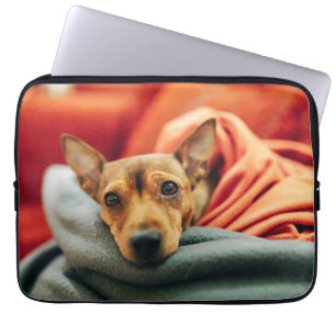 Niedliche Kleintiere   Miniature Pinscher Laptopschutzhülle