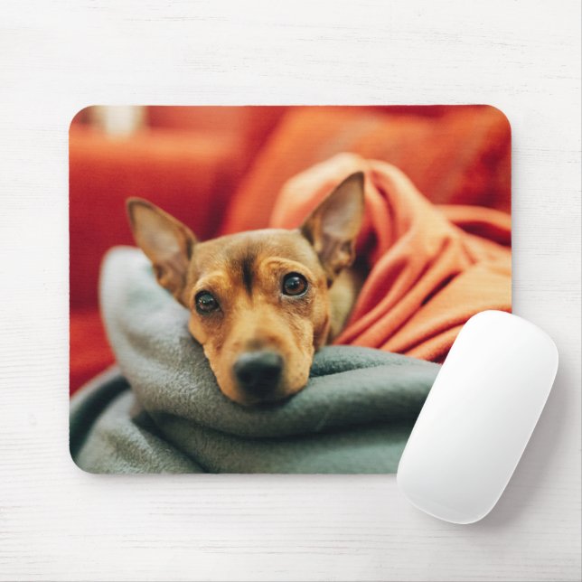 Niedliche Kleintiere | Miniature Pinscher Mousepad (Mit Mouse)