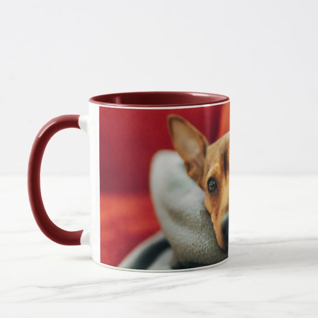 Niedliche Kleintiere | Miniature Pinscher Tasse (Links)