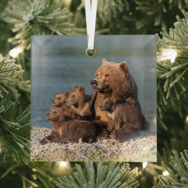 Niedliche Kleintiere | Mutter Bären & Cubs Ornament Aus Glas (Insitu)