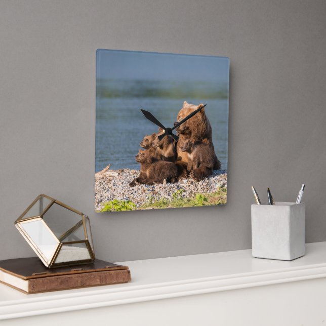 Niedliche Kleintiere | Mutter Bären & Cubs Quadratische Wanduhr (Büro)