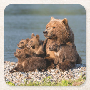 Niedliche Kleintiere Mutter Bären & Cubs Rechteckiger Pappuntersetzer