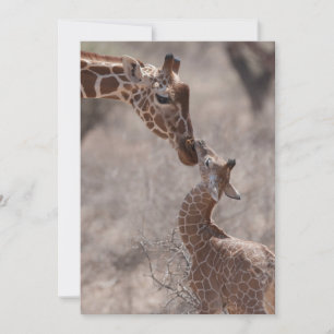 Niedliche Kleintiere Mutter und Baby Giraffe Dankeskarte