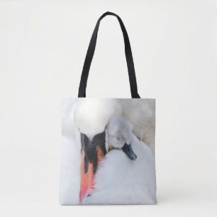Niedliche Kleintiere Mutter und Baby Mute Swan