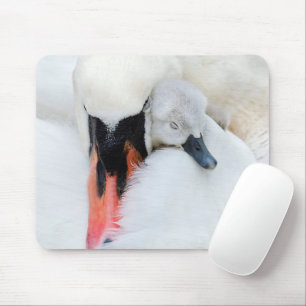 Niedliche Kleintiere   Mutter und Baby Mute Swan Mousepad