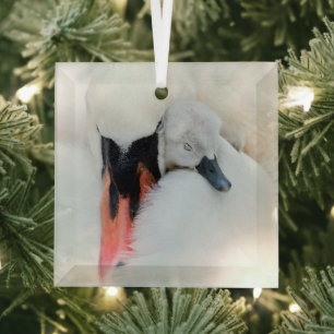 Niedliche Kleintiere Mutter und Baby Mute Swan Ornament Aus Glas