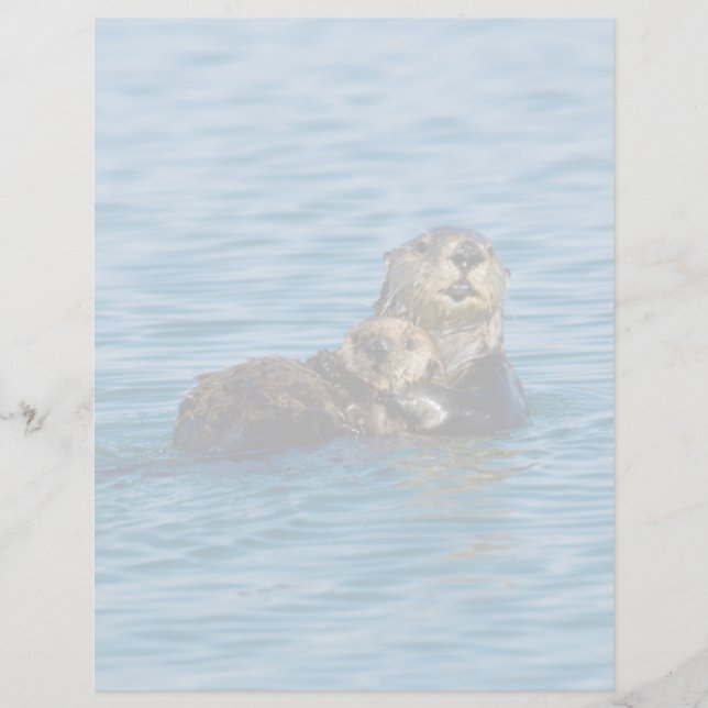 Niedliche Kleintiere | Mutter und Baby Sea Otter (Vorderseite)