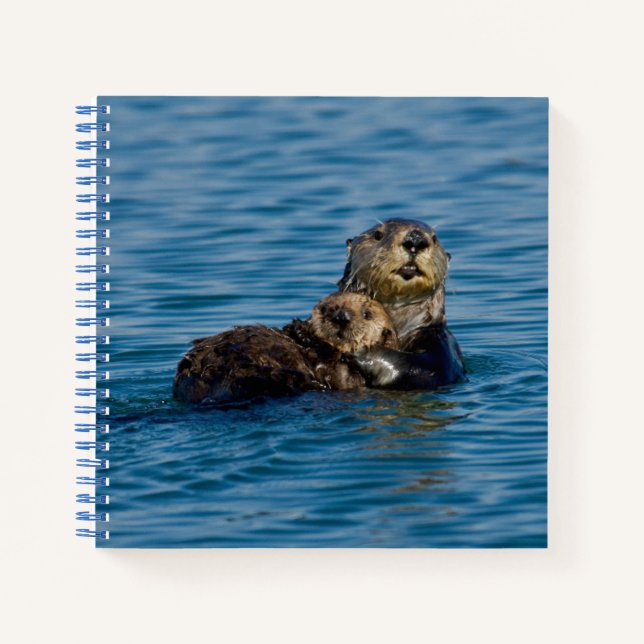 Niedliche Kleintiere | Mutter und Baby Sea Otter Notizbuch (Vorderseite)