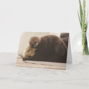 Niedliche Kleintiere   Neugeborene Otter Pup Karte