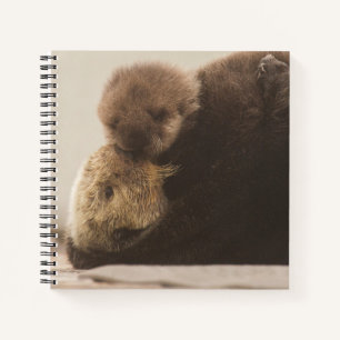 Niedliche Kleintiere Neugeborene Otter Pup Notizbuch