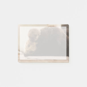 Niedliche Kleintiere   Neugeborene Otter Pup Post-it Klebezettel