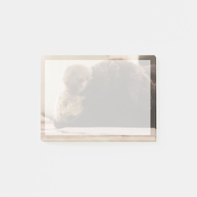 Niedliche Kleintiere | Neugeborene Otter Pup Post-it Klebezettel (Vorderseite)