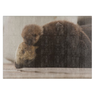 Niedliche Kleintiere Neugeborene Otter Pup Schneidebrett