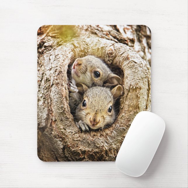 Niedliche Kleintiere | Neugierige Baby-Eichhörnche Mousepad (Mit Mouse)