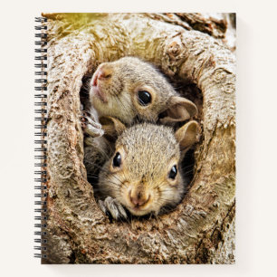 Niedliche Kleintiere Neugierige Baby-Eichhörnche Notizbuch