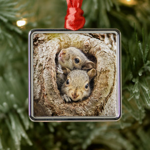 Niedliche Kleintiere Neugierige Baby-Eichhörnche Ornament Aus Metall