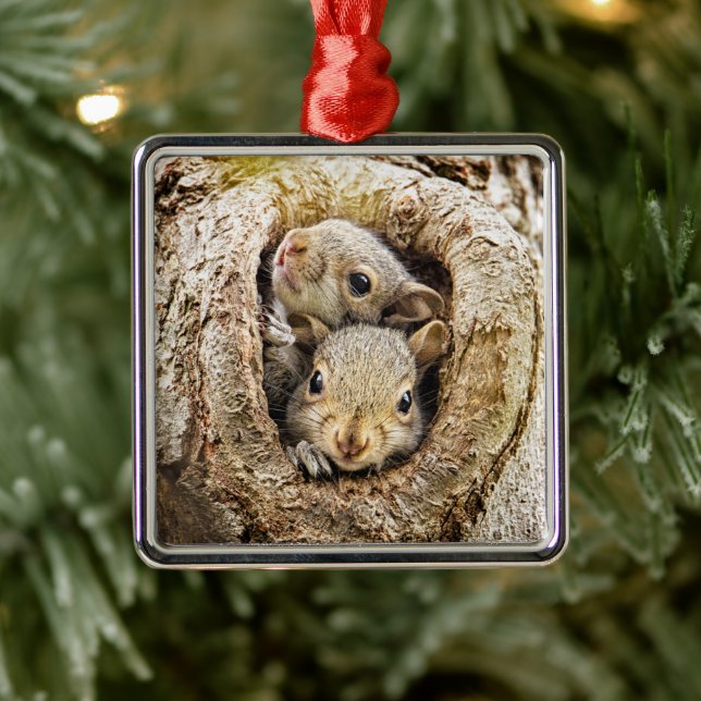 Niedliche Kleintiere | Neugierige Baby-Eichhörnche Ornament Aus Metall (Baum)