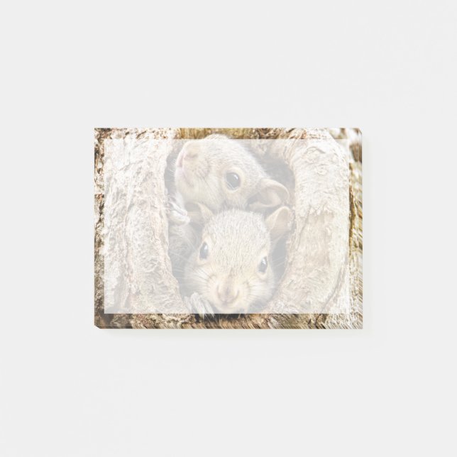 Niedliche Kleintiere | Neugierige Baby-Eichhörnche Post-it Klebezettel (Vorderseite)