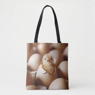 Niedliche Kleintiere New Baby Chick