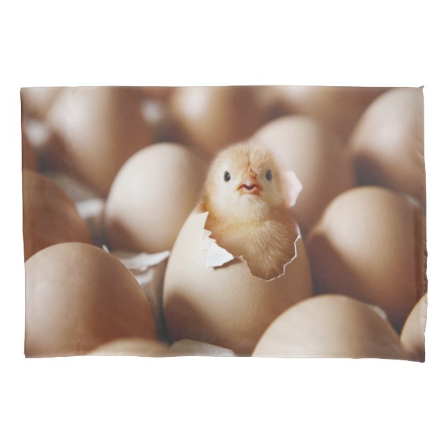 Niedliche Kleintiere | New Baby Chick Kissenbezug (Vorderseite)