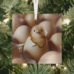 Niedliche Kleintiere   New Baby Chick Ornament Aus Glas