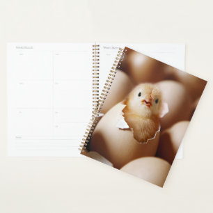 Niedliche Kleintiere New Baby Chick Planer