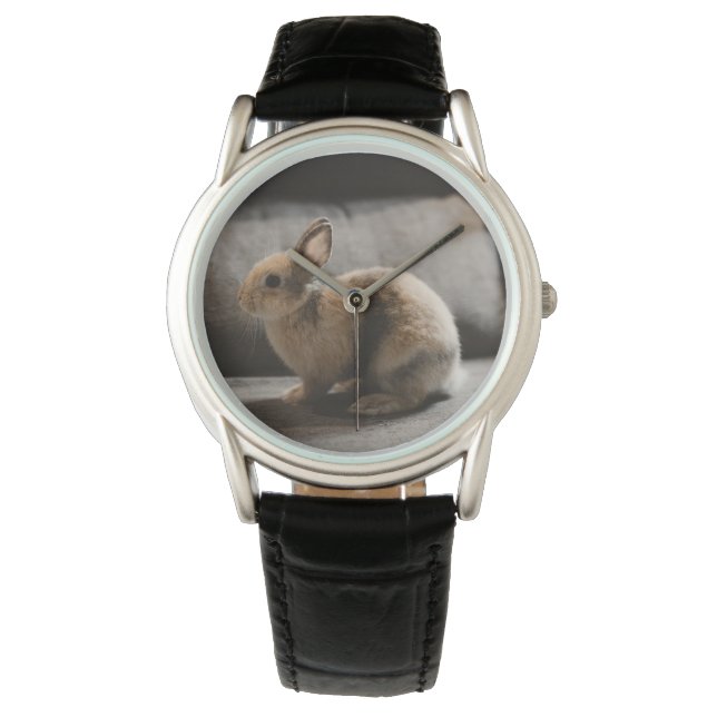 Niedliche Kleintiere | Niederländische Zwergkaninc Armbanduhr (Vorderseite)