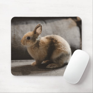 Niedliche Kleintiere Niederländische Zwergkaninc Mousepad