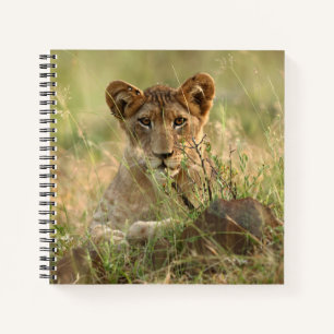 Niedliche Kleintiere Niedlich Baby Lion Cub Notizbuch