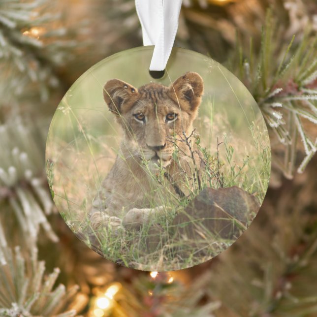 Niedliche Kleintiere | Niedlich Baby Lion Cub Ornament (Baum)