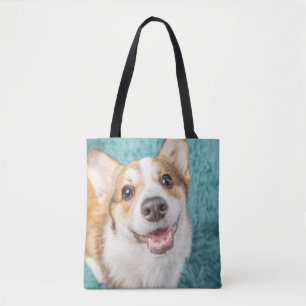 Niedliche Kleintiere Niedlich Corgi Puppy Smile