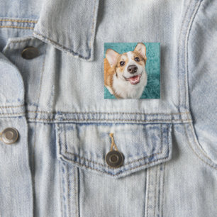 Niedliche Kleintiere Niedlich Corgi Puppy Smile Button