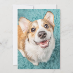 Niedliche Kleintiere   Niedlich Corgi Puppy Smile Dankeskarte