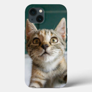 Niedliche Kleintiere Niedlich Tabby Kitten Case-Mate iPhone Hülle