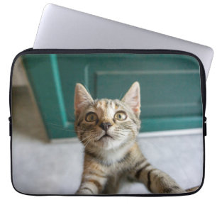 Niedliche Kleintiere Niedlich Tabby Kitten Laptopschutzhülle